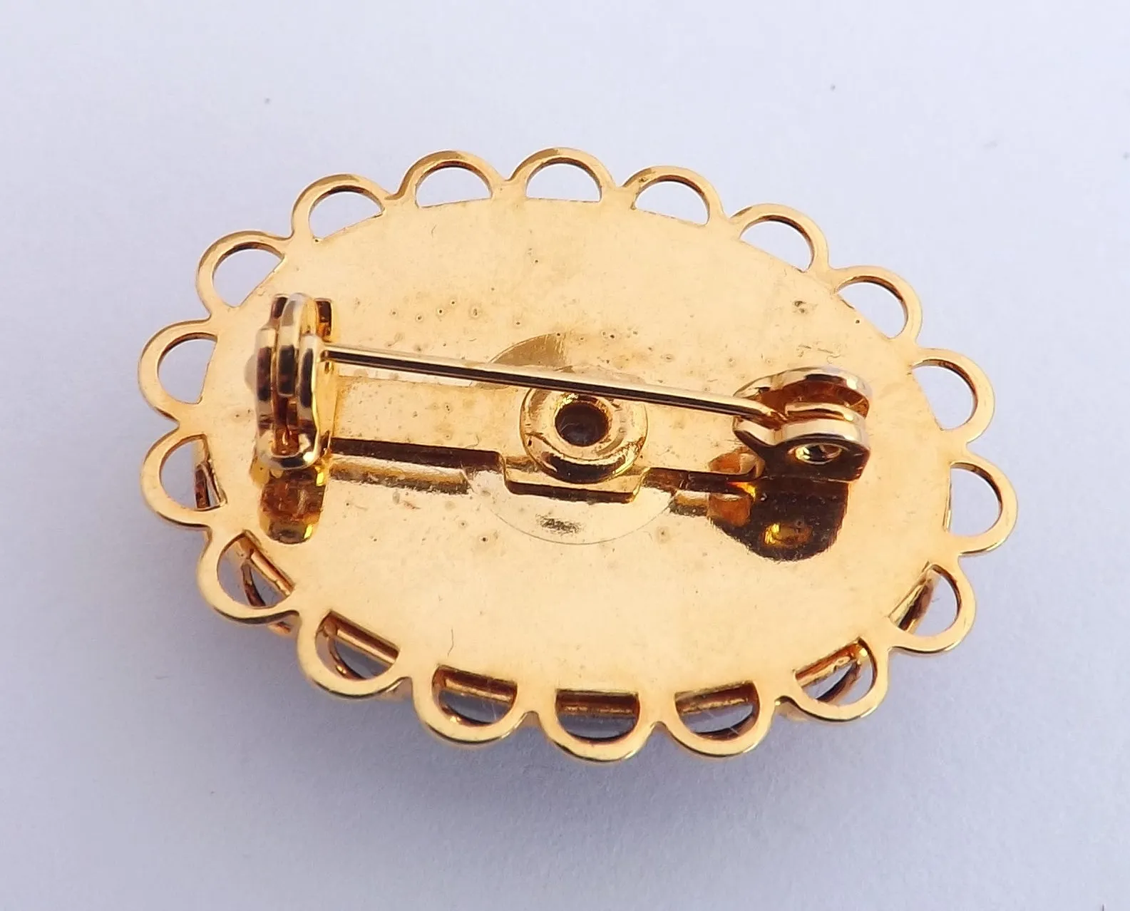 Red, White & Yellow Dried Flowers in Acrylic Resin, Gold Tone Brooch